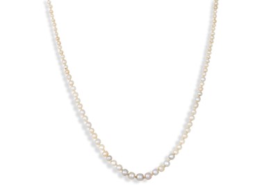 Lot 146 - A VINTAGE PEARL NECKLACE, to a 14ct gold clasp,...