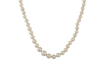 Lot 8 - A GRADUATED PEARL NECKLACE, 9ct gold clasp