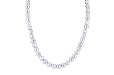 Lot 21 - A CULTURED PEARL NECKLACE, to white metal...