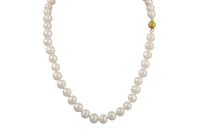 Lot 24 - A CULTURED PEARL NECKLACE, to a 14ct gold clasp