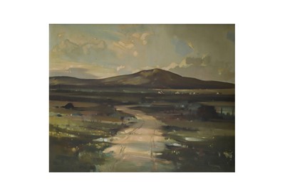 Lot 99 - IRISH SCHOOL 20TH CENTURY, Western Bog...