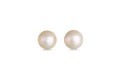 Lot 49 - A PAIR  OF CULTURED PEARL EARRINGS, mounted in...