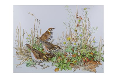 Lot 515 - ELIZABETH WALSH (ISLE OF MAN CONTEMPORARY),...