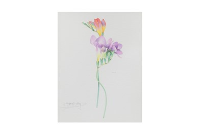 Lot 570 - SHARON BALDRY, (b.1960), 'Freesia' pencil and...